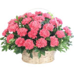 Baby Pink Carnation Basket
