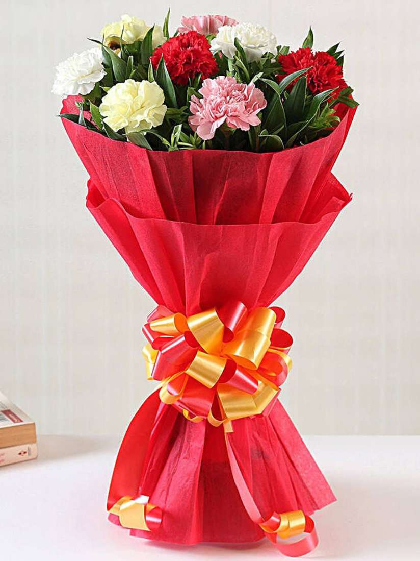 Ca.05 549 ( 8 mix carnation)