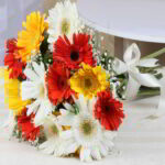 Light Pink Gerbera Bunch