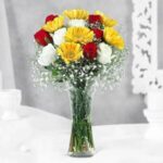 Red, White Rose & Yellow Gerbera Combo