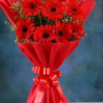 Dual Color Gerbera Set