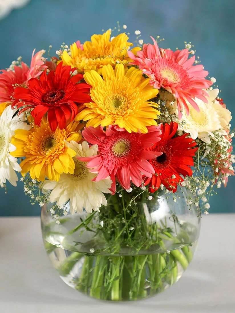 Gb 13 649 (15 mix gerbara in glass base)