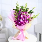 Elegant Pink Orchid Stems