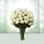White Roses in Glass Vase