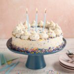 Birthday Sprinkle Vanilla Cake